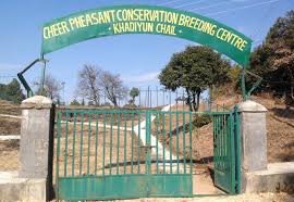 Cheer Pheasant Breeding Centre