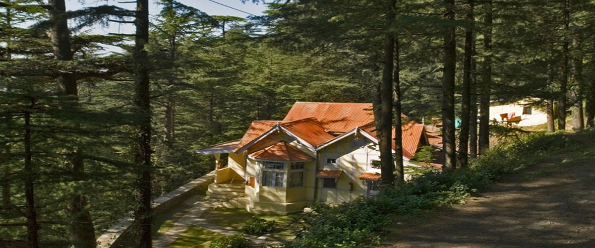Forest Rest House